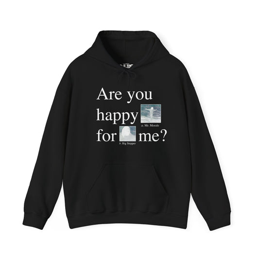 Kendrick Lamar Merch - Mr. Morale & The Big Steppers Are You Happy For Me Black Tour Dates Hoodie